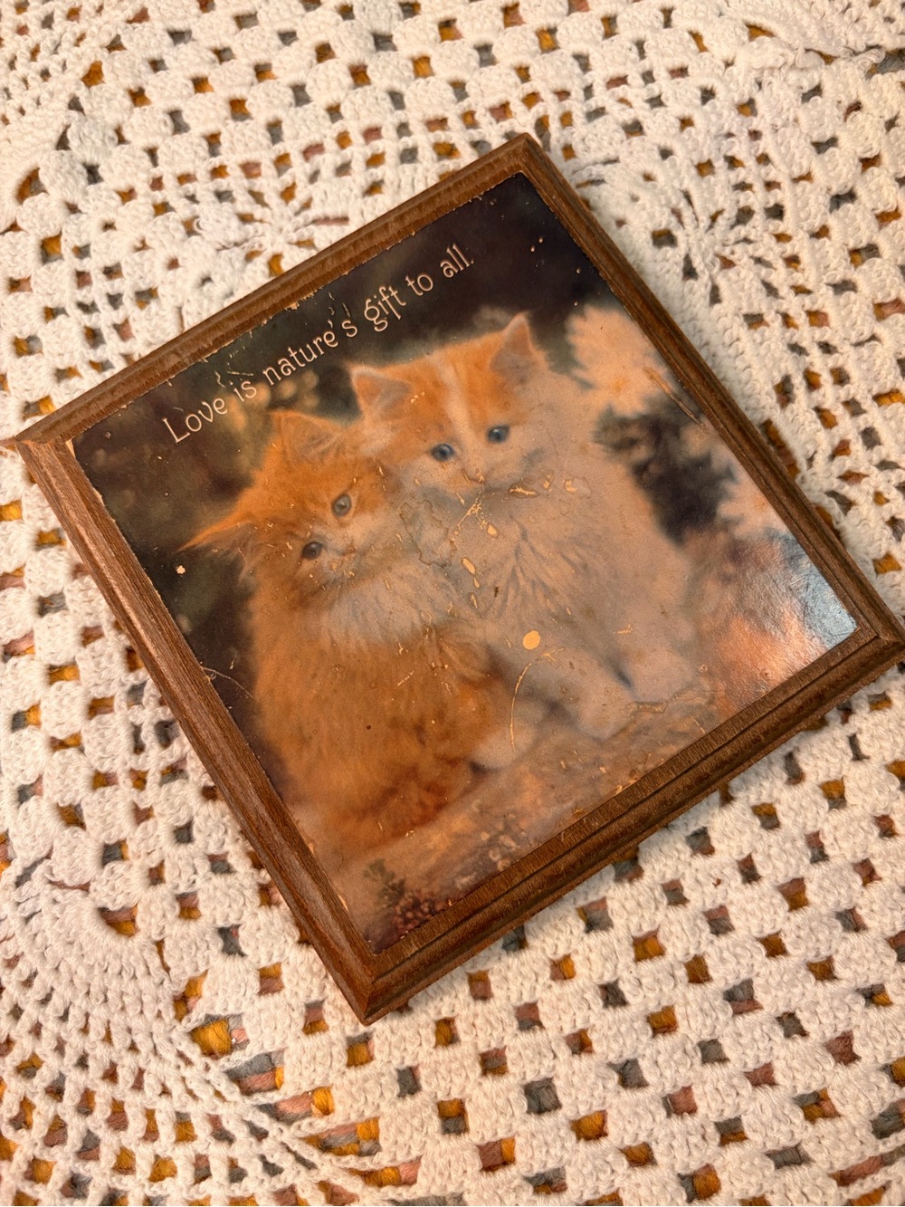 🐱🧡✨ Vintage Hallmark Wooden Cat Wall Plaque ✨🧡🐱